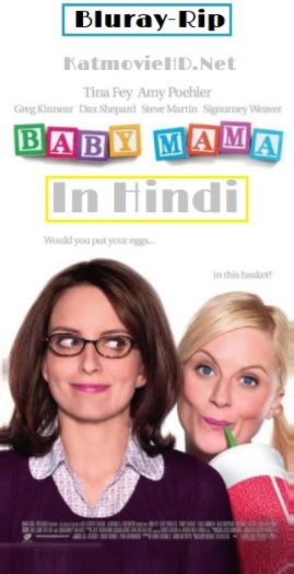 Baby Mama 2008 BluRay Hindi 1080p 720p 480p [Dual Audio] [ हिंदी + English ] x264 AAC Esub