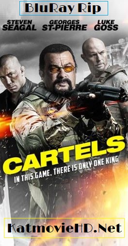 Cartels 2017 BluRay 720p 480p UNCUT Hindi + English Dual Audio ESUB x264 ( AKA – Killing Salazar )