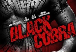 Black Cobra (2012) UNRATED 720p 480p HD BluRay x264 [Hindi ORG DD 2.0 + English 2.0] Full Movie