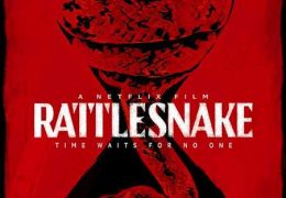 Rattlesnake (2019) Hindi Web-DL 480p 720p Dual Audio [हिंदी DD 5.1 + English] Netflix