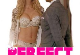 The Perfect Pickup (2020) Full Movie [In English] With Hindi Subtitles | Web-DL 720p [1XBET]